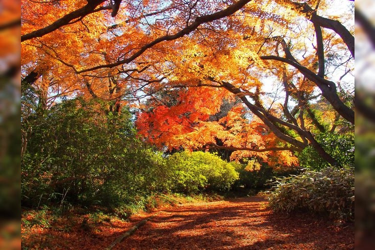 시미즈 공원 (Shimizu Park) 3