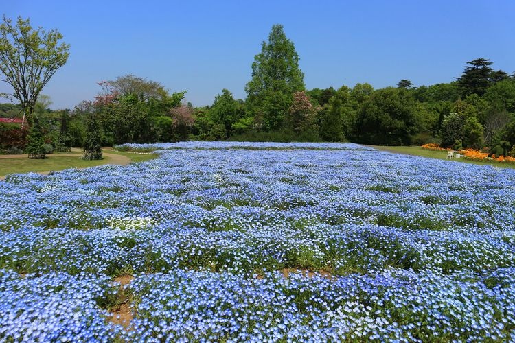 清水公園 6