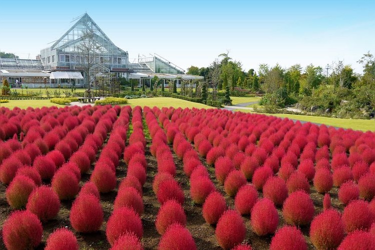 清水公園 7