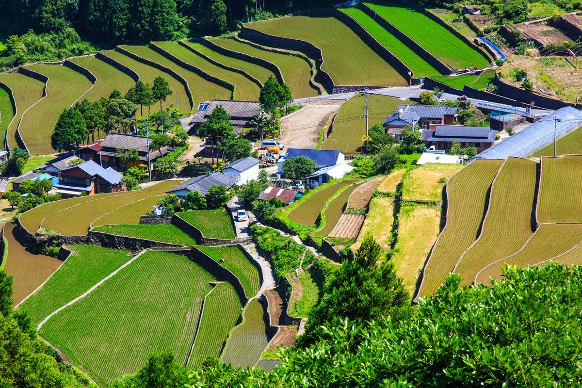 Arrozales de Terrazas de Shimizu (Shimizu Tanada)