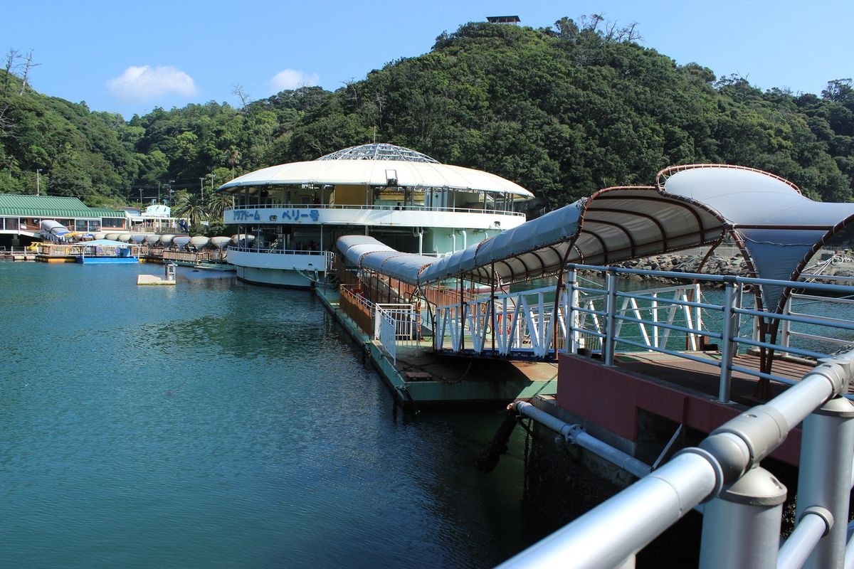 시모다 해중 수족관 (Shimoda Sea Aquarium)