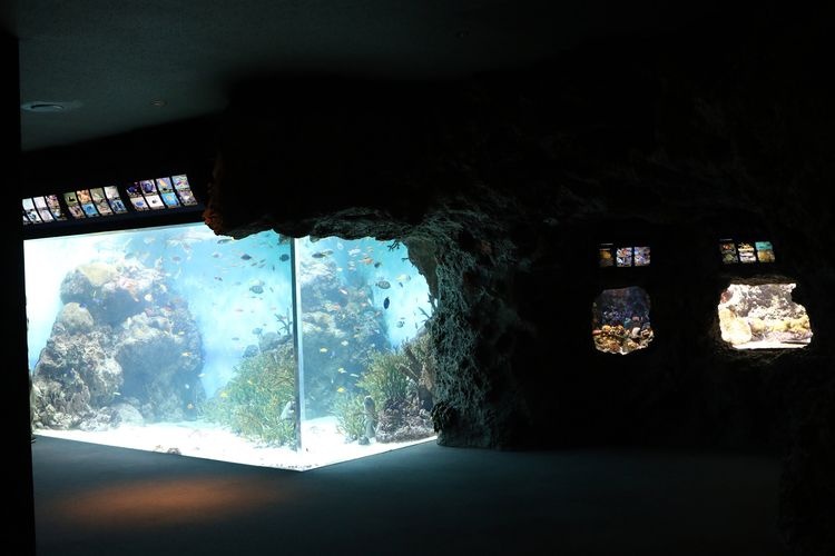 Shimonoseki Marine Science Museum Kaikyokan