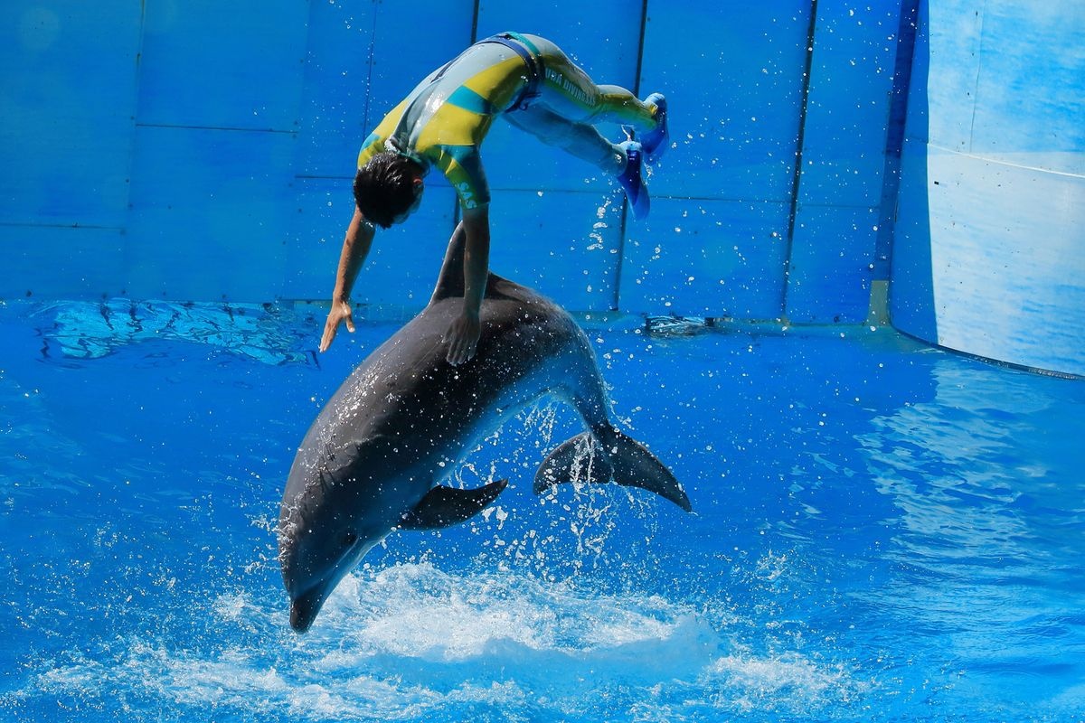 新江島水族館 (Enoshima Aquarium)