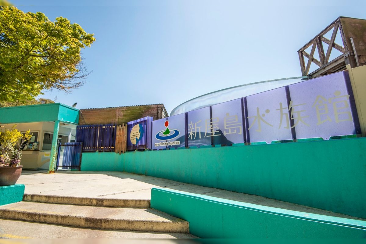 Shinayaima Aquarium (Ichiba Suizokukan)