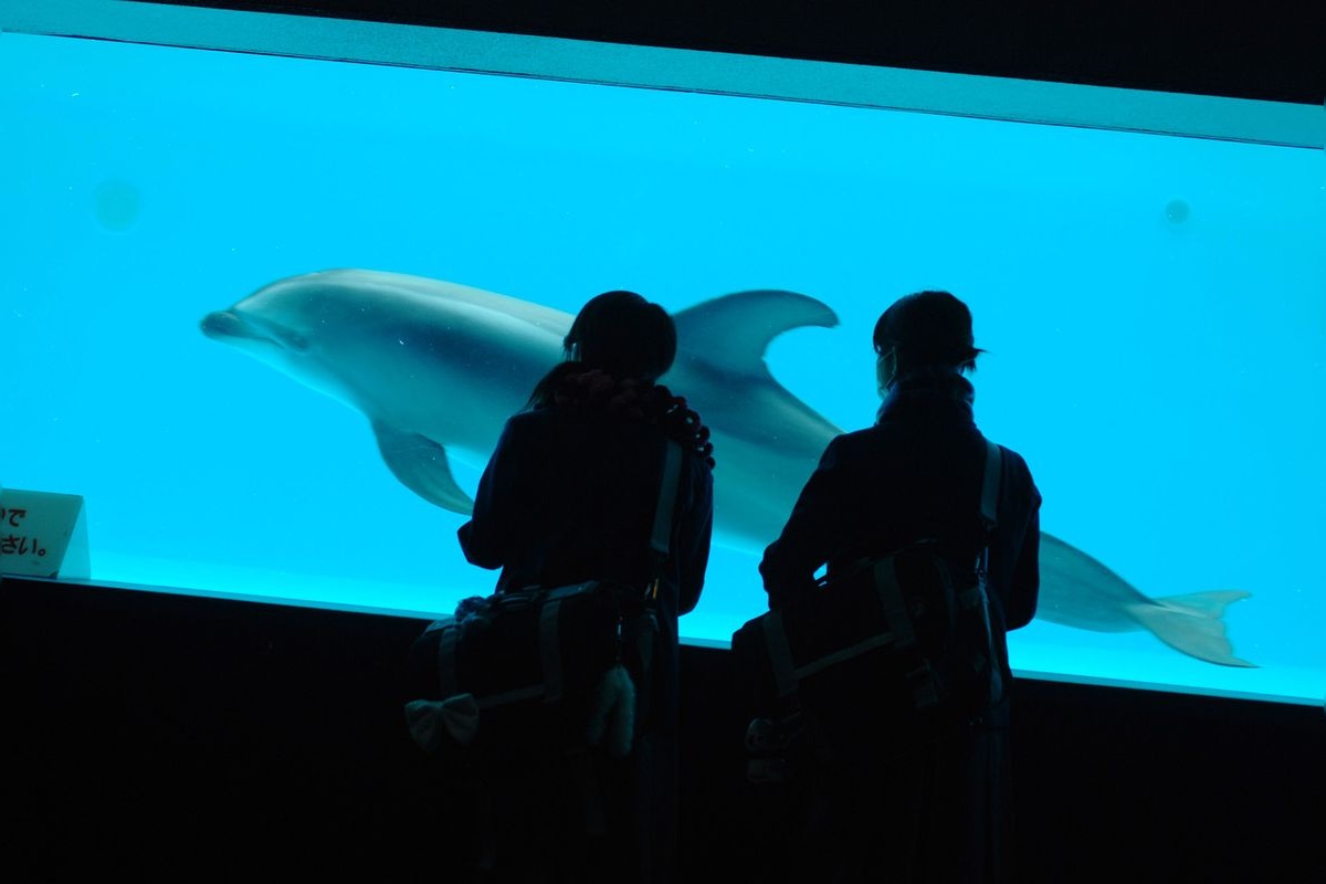 品川水族館 (Shinagawa Aquarium)