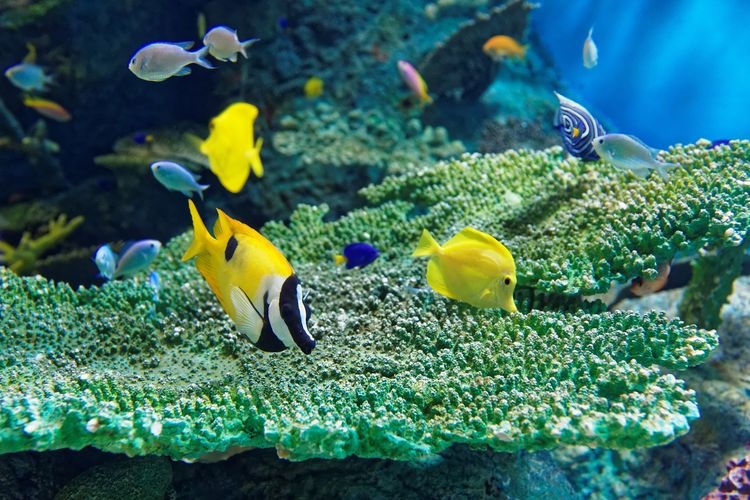 品川水族馆 3