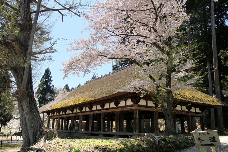 新宮熊野神社 2