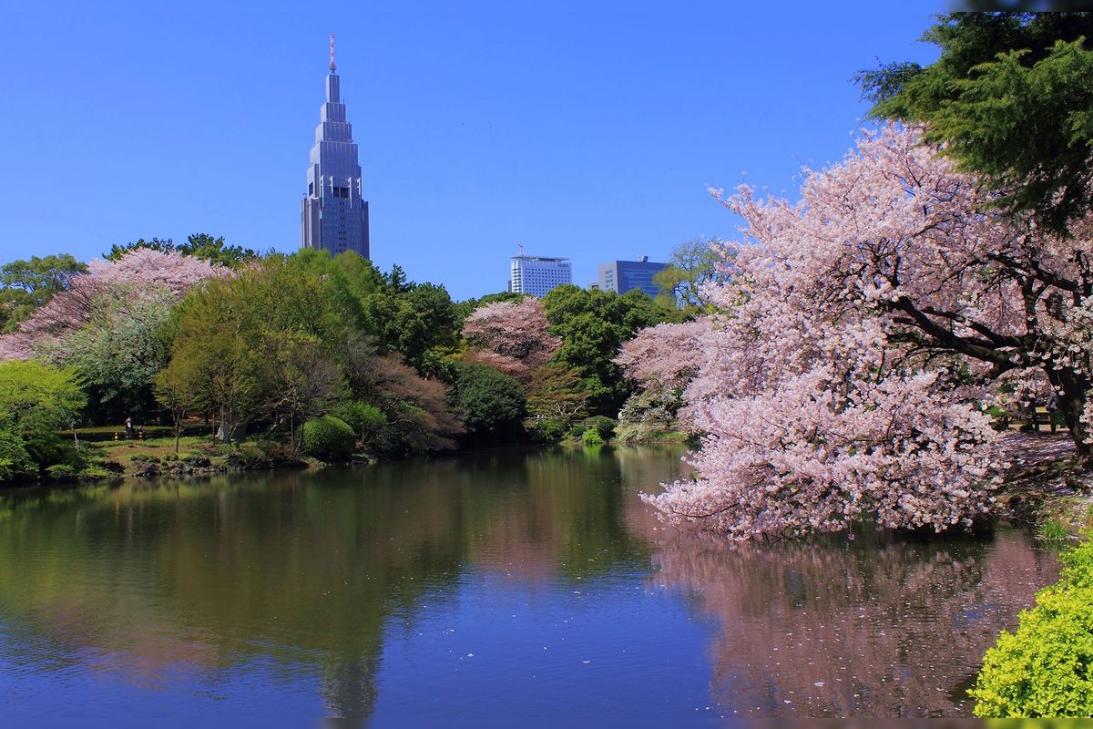 Shinjuku Gyoen