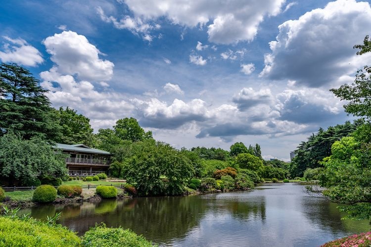 Shinjuku Gyoen 2