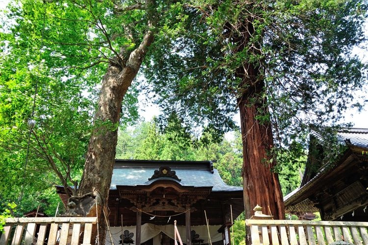 新海三社神社 2