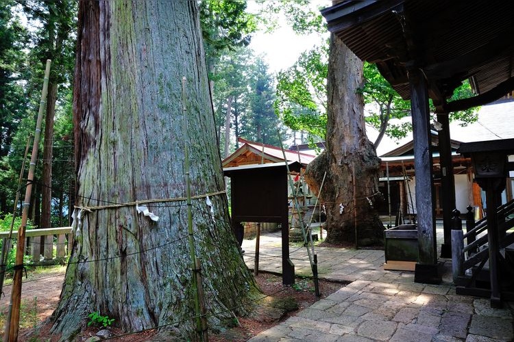 新海三社神社 3