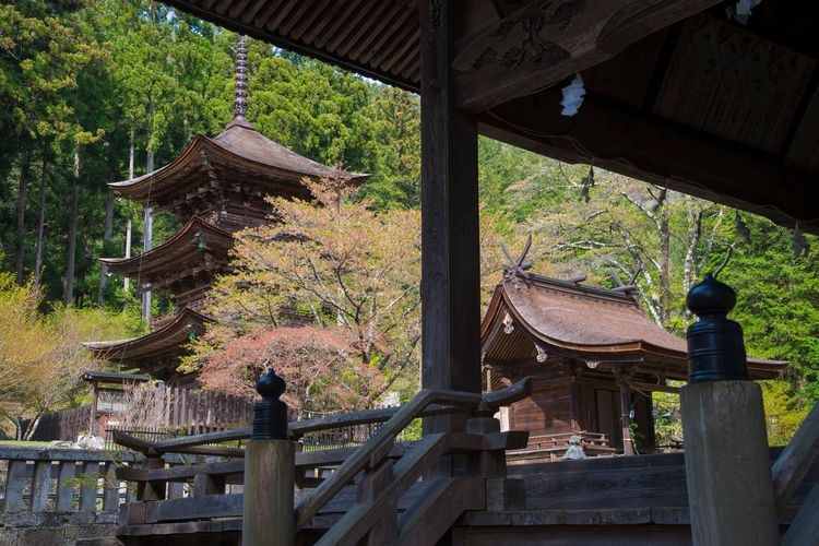 新海三社神社 4