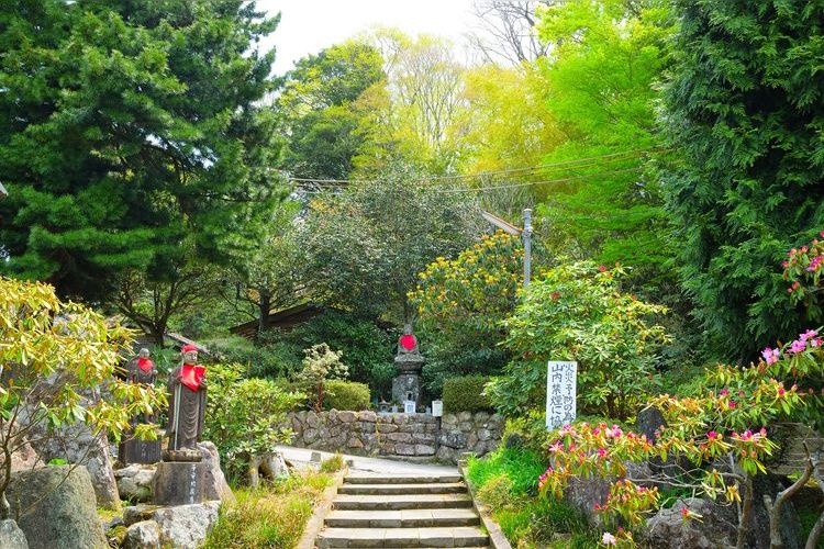 神角寺 (Shikakuji)