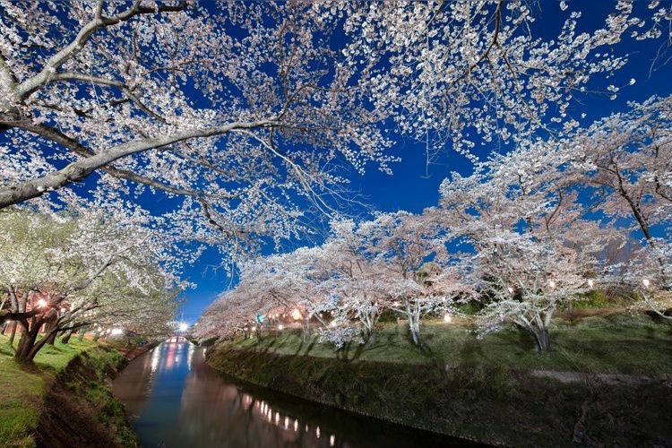新境川堤