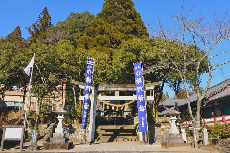 Shinmon Jinja Shrine 2