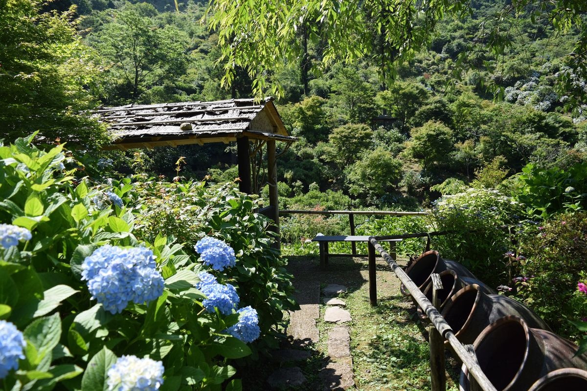 Shinonome no Sato Ajisai-en