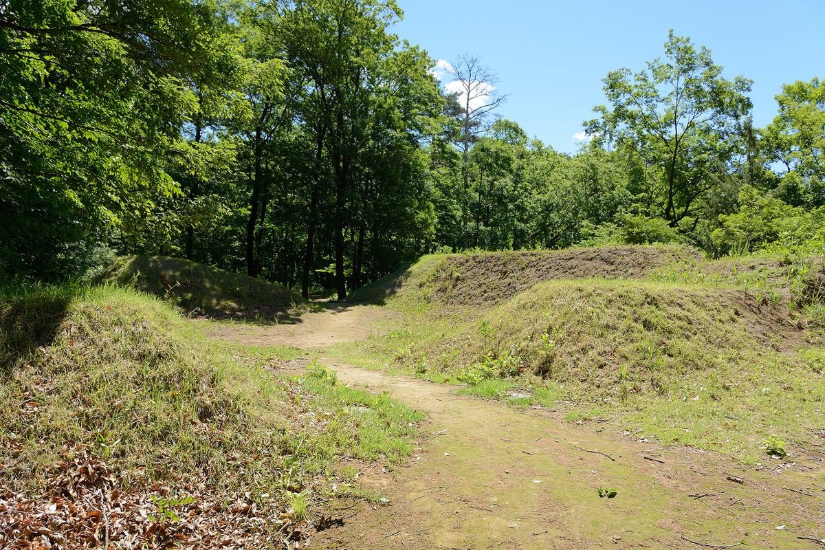 Shinpu Castle Ruins