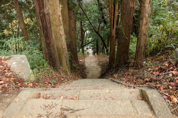 Shinpu Castle Ruins
