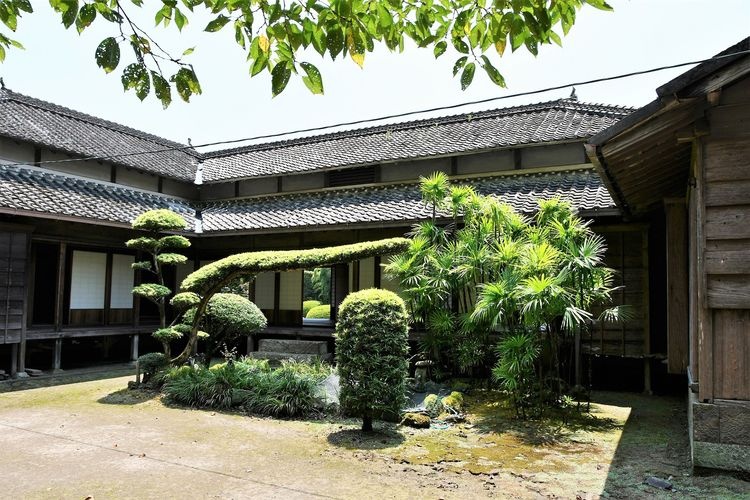 Shintokudo 2