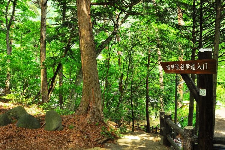 Valle de Shiobara
