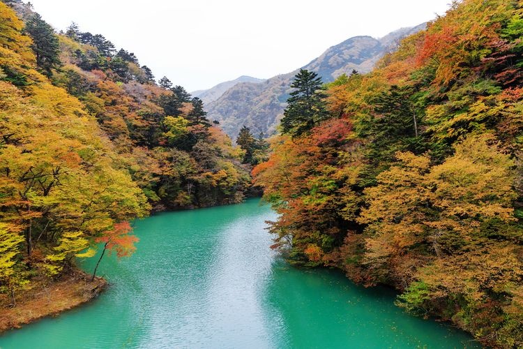 Valle de Shiobara 3