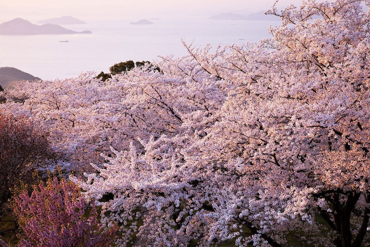 紫雲出山 (Shiunozan)