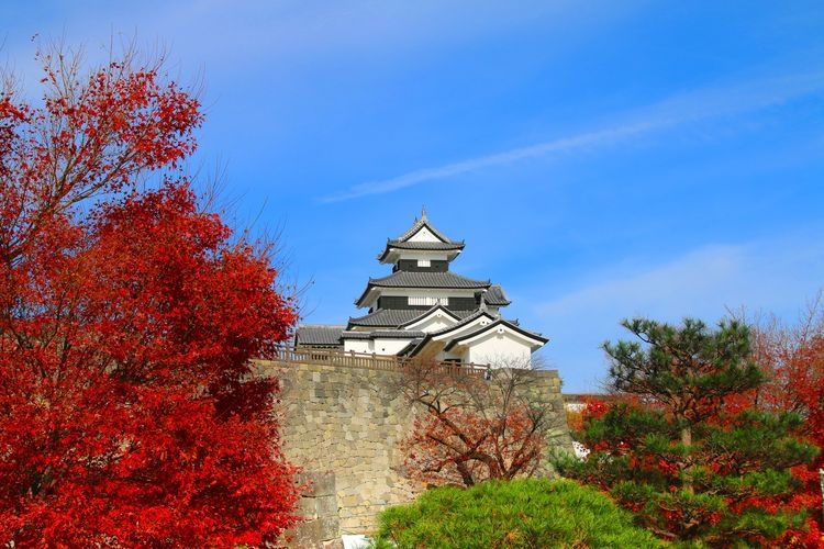 코미네 성터 (Komine Castle Ruins)
