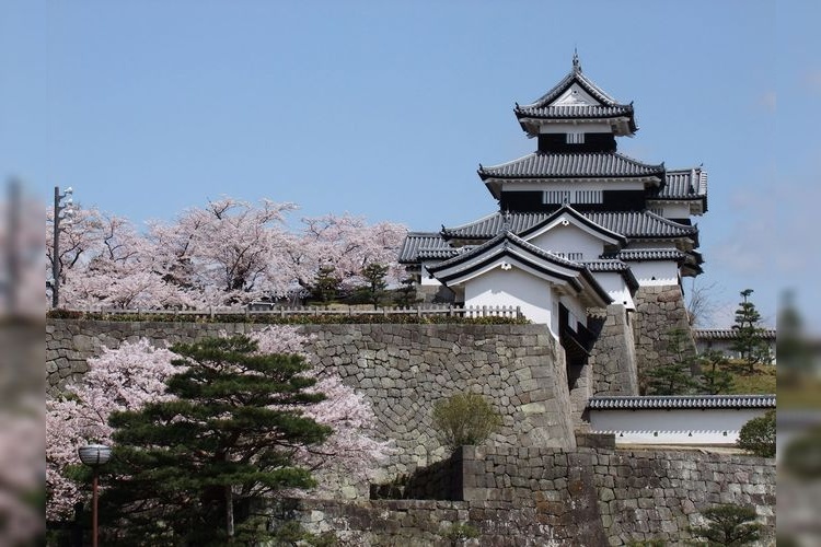 코미네 성터 (Komine Castle Ruins) 4