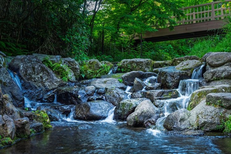 Shirakawa Spring