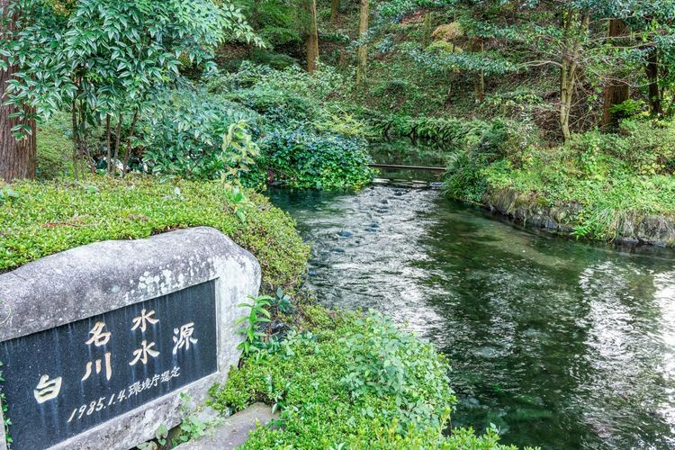 Shirakawa Spring 3