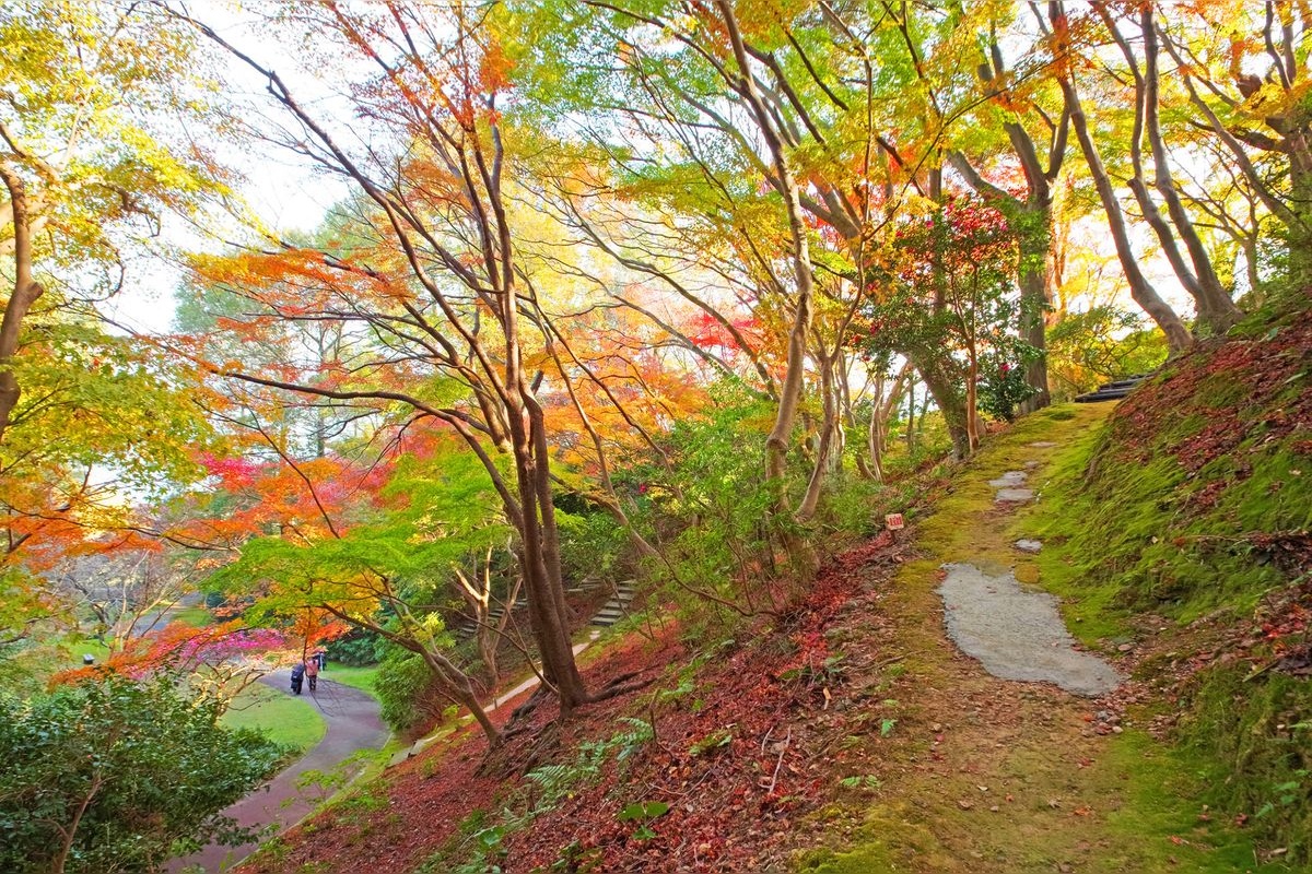 白野江植物園
