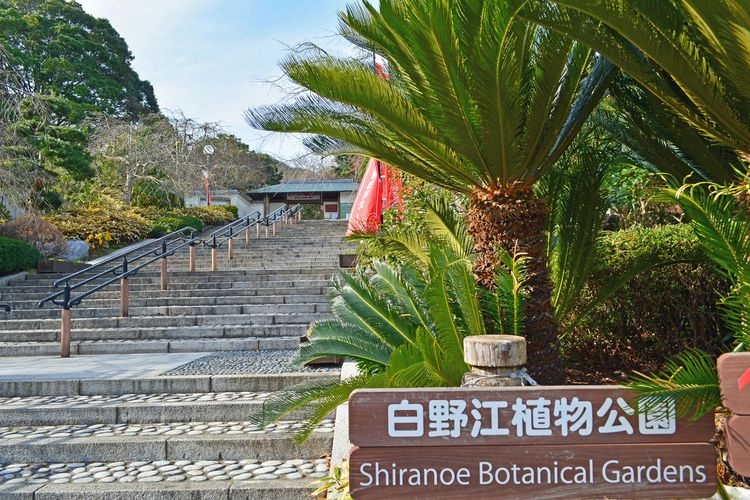 Shiranoe Botanical Garden 3