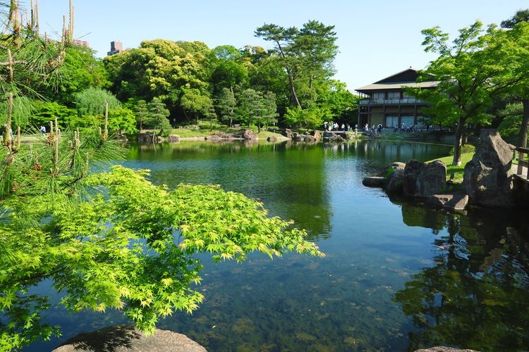 白鳥庭園 2