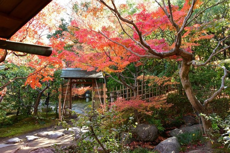 白鳥庭園 4