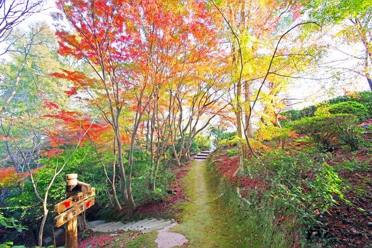 시라노에 식물공원 2