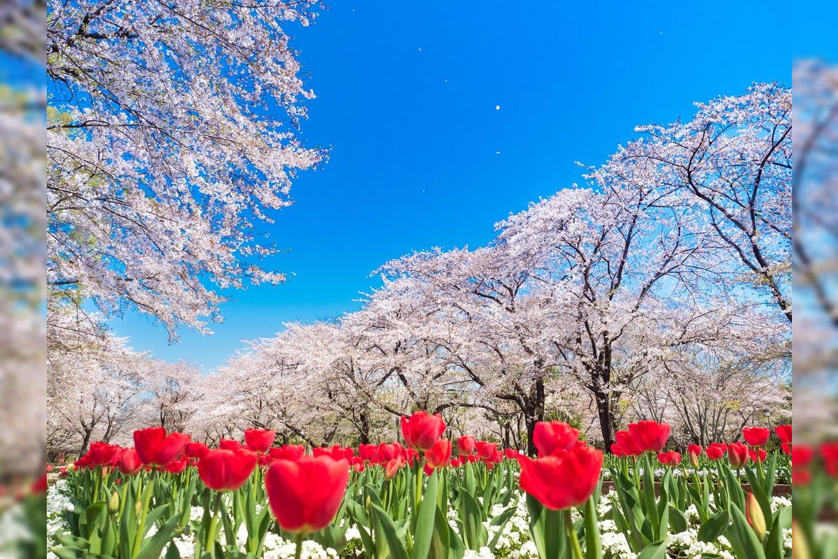 城山公園