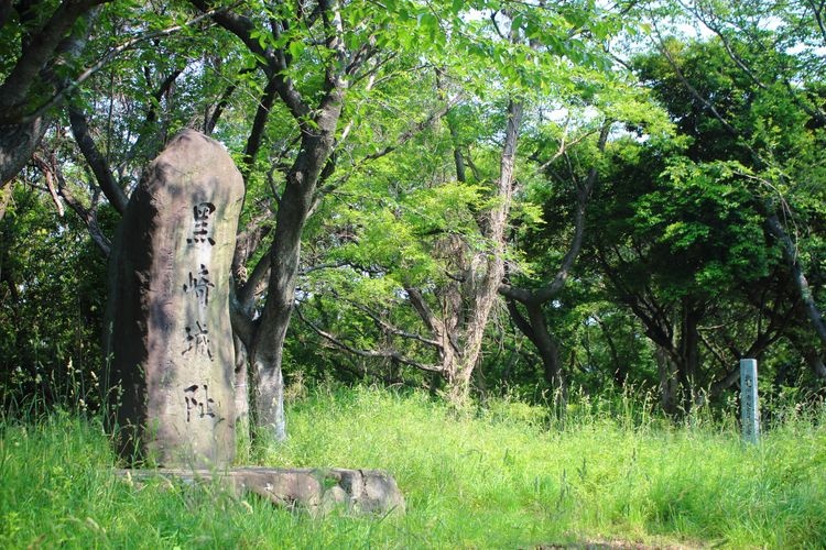 【공장 야경】 시로야마 녹지 공원(城山緑地公園) 3