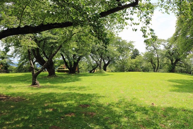 紫波城山公園