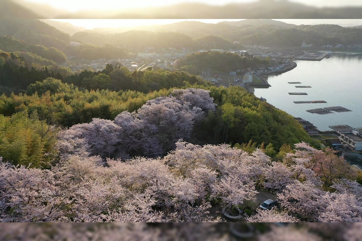 Shofukuyama Park