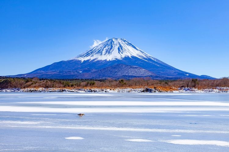 Shojiko Lake 4