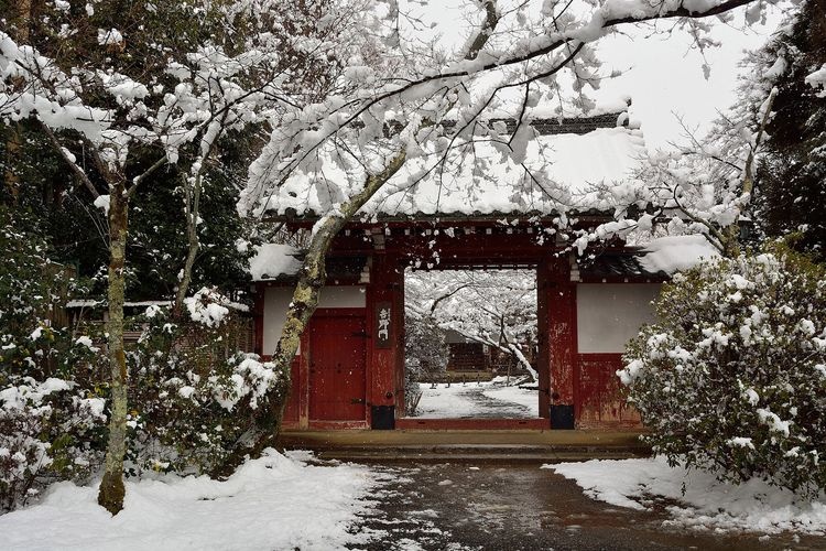 常照寺 (Chosho-ji) 3