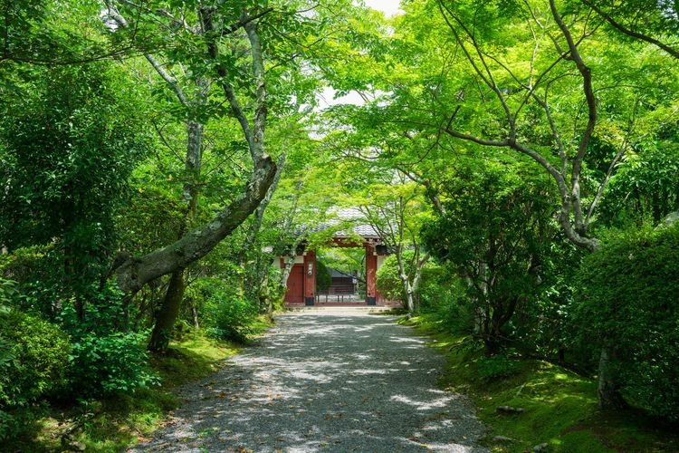 常照寺 (Chosho-ji) 6