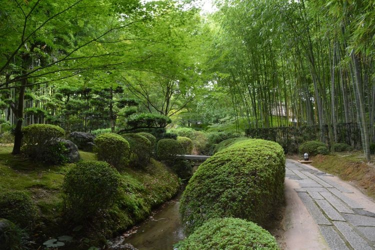 Shokado Garden & Art Museum 3