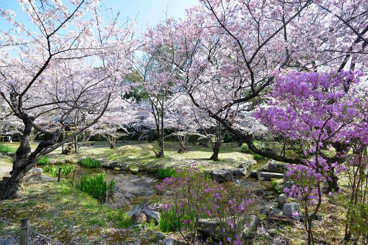 Shoseien 2