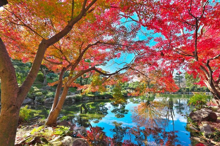 Shoseien 3