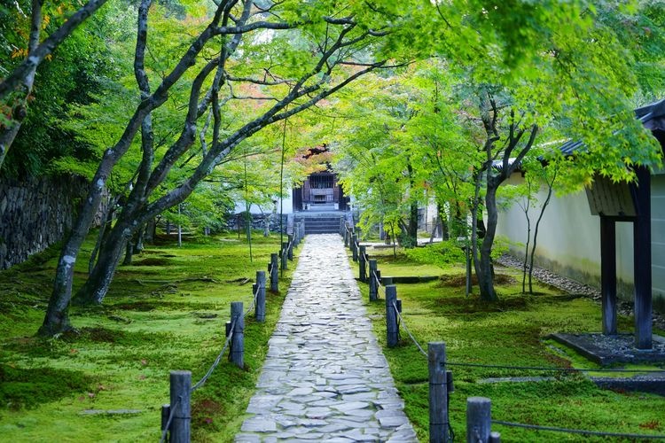 쇼세이엔 (Shoseien) 6