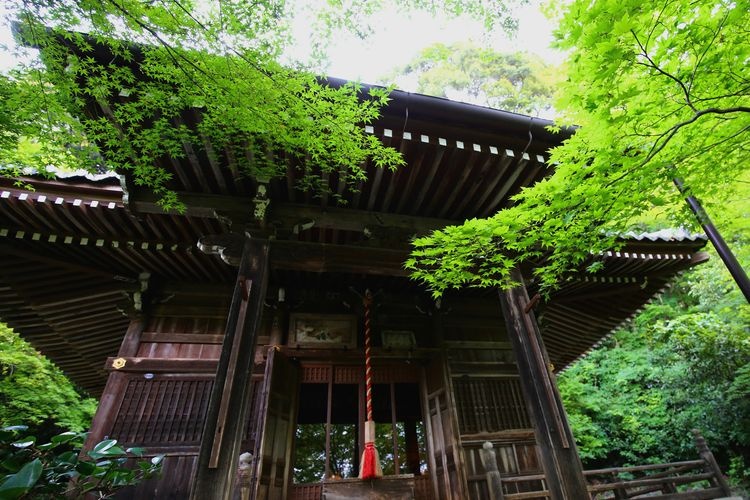勝持寺 (Shoujiji) 6