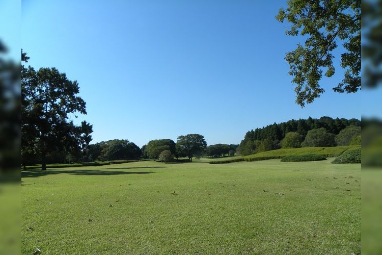 Showa no Mori Park 4