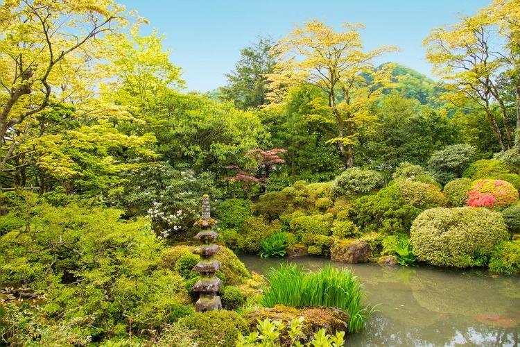 逍遙園 2