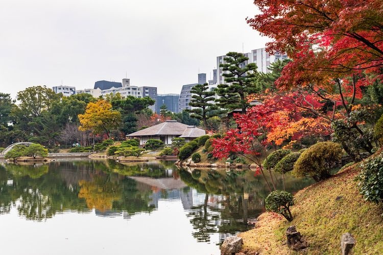 縮景園 (Shukkeien) 3